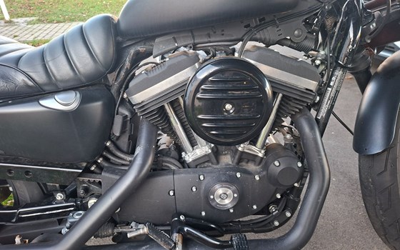 Gebrauchtmotorrad Harley-Davidson Sportster XL 883 N Iron - Bild 5