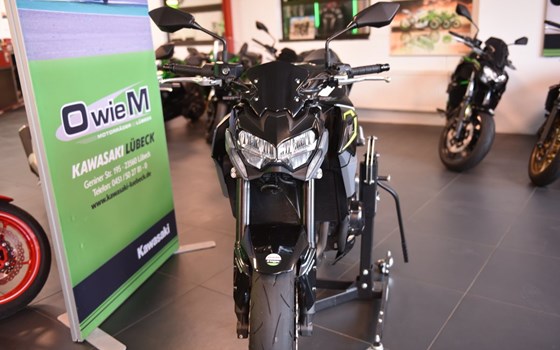 Neufahrzeug CFMOTO 450CL-C	Bobber - Bild 3