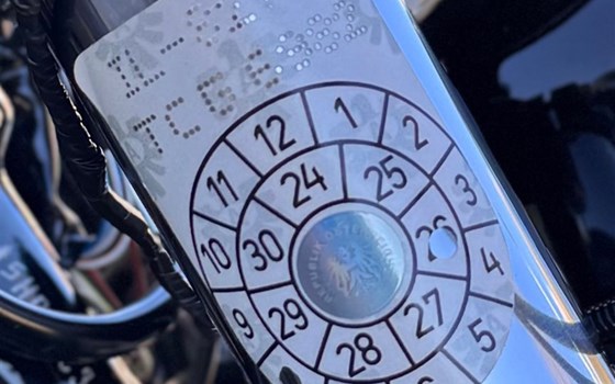 Gebrauchtmotorrad Harley-Davidson Sportster XL 1200X Forty-Eight - Bild 10