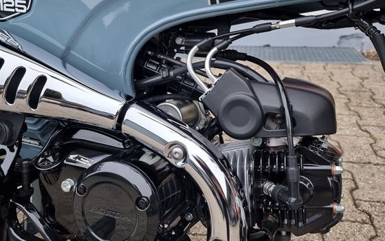 Gebrauchtmotorrad Honda Dax 125 - Bild 3