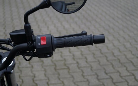 Neufahrzeug Kawasaki Eliminator 500 - Bild 16