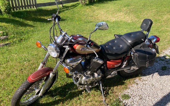 Gebrauchtmotorrad Yamaha Virago 535 - Bild 1