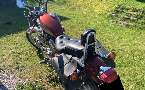 Gebrauchtmotorrad Yamaha Virago 535 - Bild 2