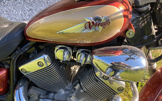 Gebrauchtmotorrad Yamaha Virago 535 - Bild 3