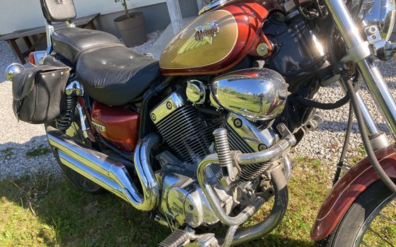 Gebrauchtmotorrad Yamaha Virago 535 - Bild 4