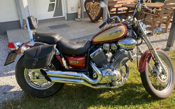 Gebrauchtmotorrad Yamaha Virago 535 - Bild 5