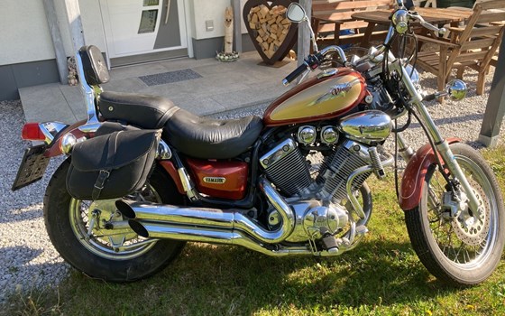 Gebrauchtmotorrad Yamaha Virago 535 - Bild 5