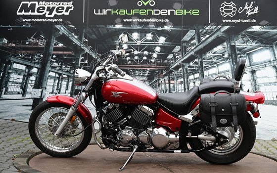 Gebrauchtmotorrad Yamaha XVS 650 Drag Star - Bild 9