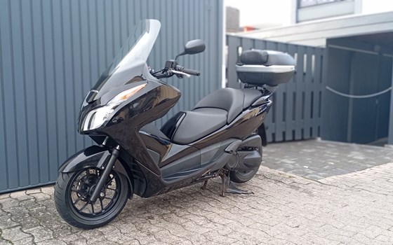 Gebrauchtmotorrad Honda Forza 300 - Bild 2