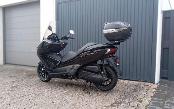 Gebrauchtmotorrad Honda Forza 300 - Bild 3