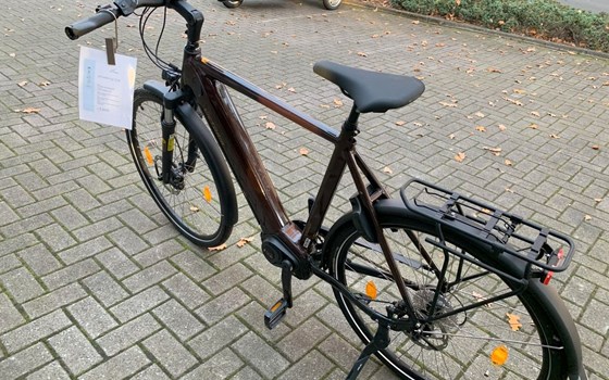 Neufahrzeug Victoria eTrekking - Bild 5