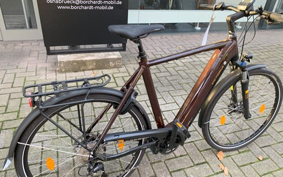 Neufahrzeug Victoria eTrekking - Bild 3