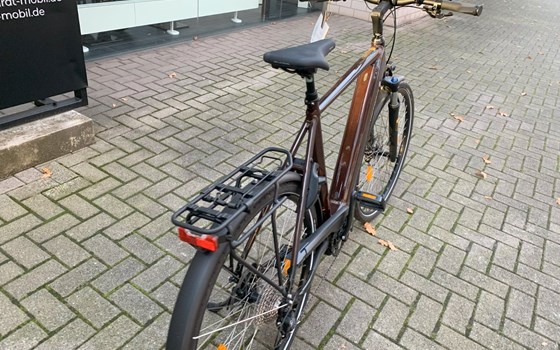 Neufahrzeug Victoria eTrekking - Bild 5