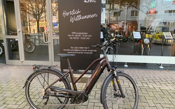 Neufahrzeug Victoria eTrekking - Bild 1