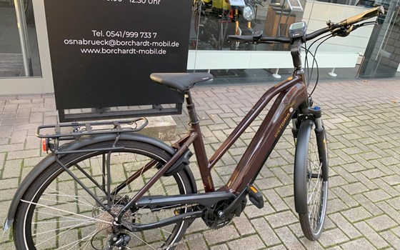 Neufahrzeug Victoria eTrekking - Bild 4