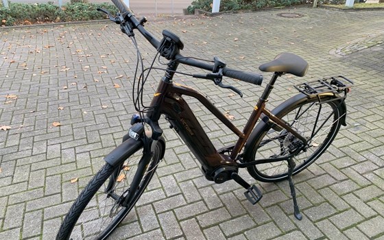 Neufahrzeug Victoria eTrekking - Bild 6