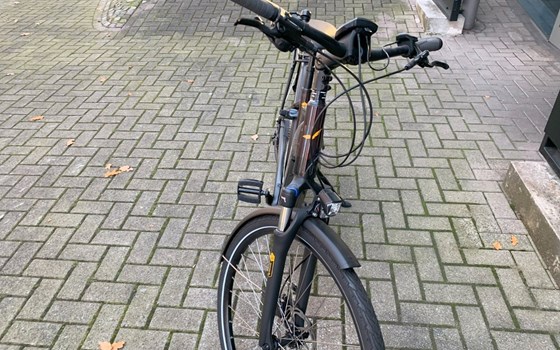 Neufahrzeug Victoria eTrekking - Bild 7