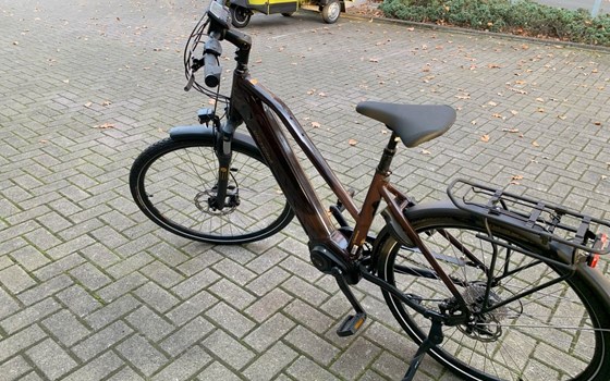 Neufahrzeug Victoria eTrekking - Bild 8