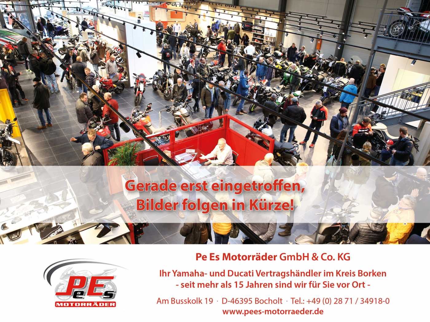 BMW R 1200 GS 3 Pakete, Service + Reifen NEU