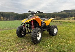 Gebrauchte Polaris Trail Blazer 250