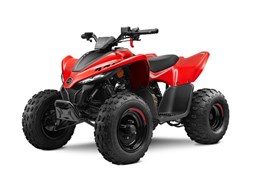 Neumotorrad CFMOTO CForce 110