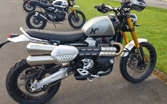 Neufahrzeug Triumph Scrambler 1200 XE - Bild 8