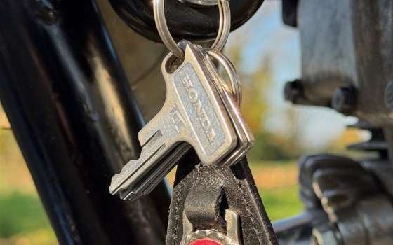 Gebrauchtmotorrad Honda CL 450 - Bild 7