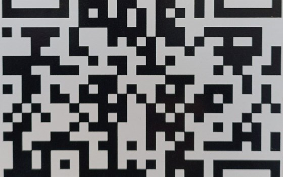 Neufahrzeug Suzuki GSX-8TT - Bild 11