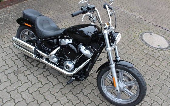 Gebrauchtmotorrad Harley-Davidson Softail Street Bob FXBB - Bild 16