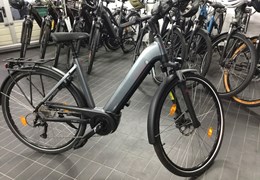 Neumotorrad Victoria eTrekking