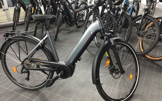 Neufahrzeug Victoria eTrekking - Bild 1