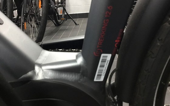 Neufahrzeug Victoria eTrekking - Bild 10