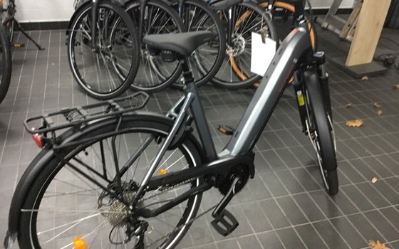 Neufahrzeug Victoria eTrekking - Bild 3