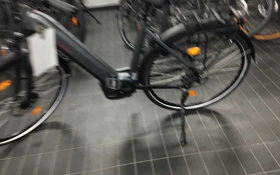 Neufahrzeug Victoria eTrekking - Bild 5