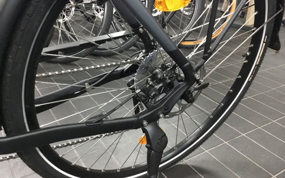 Neufahrzeug Victoria eTrekking - Bild 6