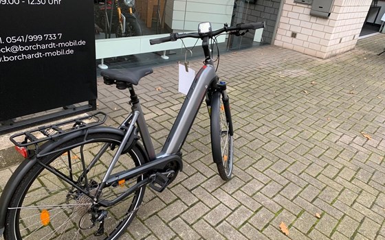 Neufahrzeug Victoria eTrekking - Bild 4