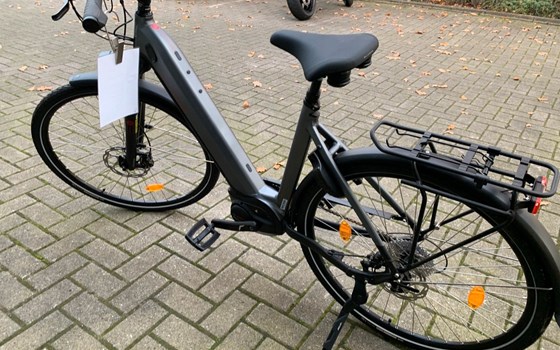 Neufahrzeug Victoria eTrekking - Bild 6