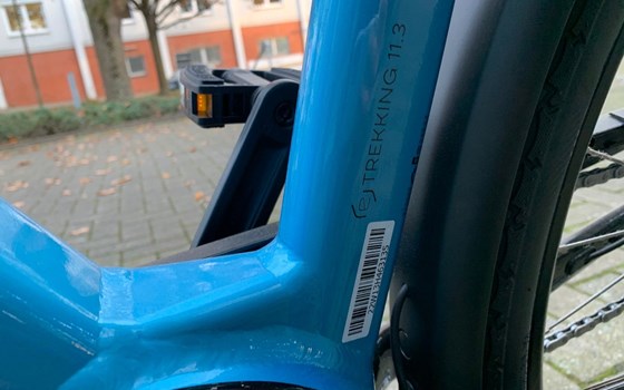 Neufahrzeug Victoria eTrekking - Bild 11