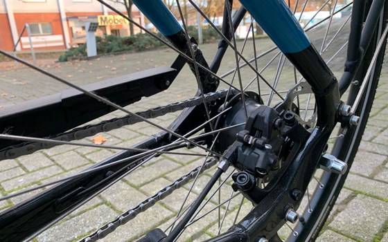 Neufahrzeug Victoria eTrekking - Bild 12