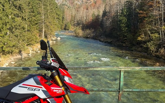 Gebrauchtmotorrad Ducati Hypermotard 950 SP - Bild 6