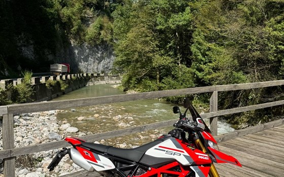 Gebrauchtmotorrad Ducati Hypermotard 950 SP - Bild 5