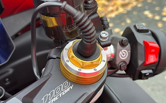 Gebrauchtmotorrad Aprilia RSV4 1100 Factory SE-09 SBK - Bild 19