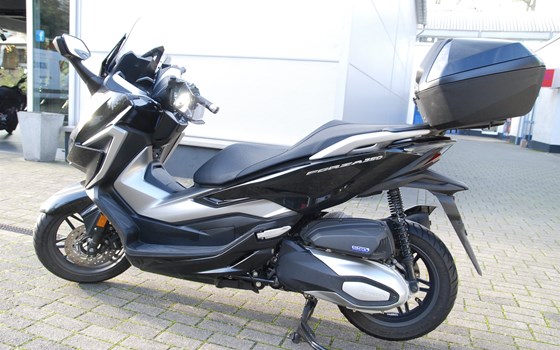 Gebrauchtmotorrad Honda Forza 350 - Bild 5