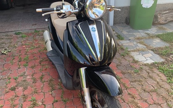 Gebrauchtmotorrad Piaggio Beverly 500 Cruiser - Bild 5