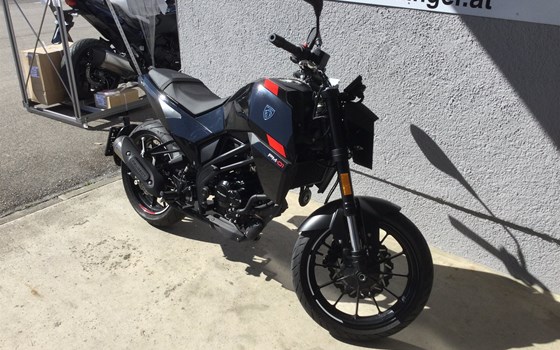 Gebrauchtmotorrad Peugeot PM-01 125 Roadster ABS - Bild 5