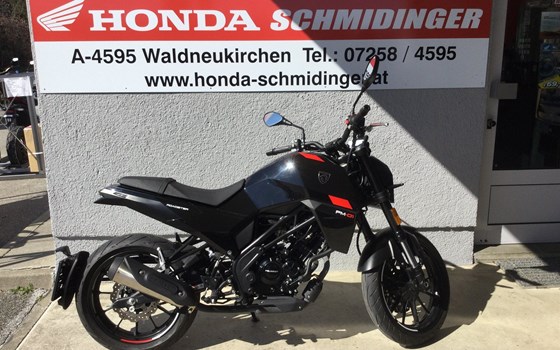 Gebrauchtmotorrad Peugeot PM-01 125 Roadster ABS - Bild 8