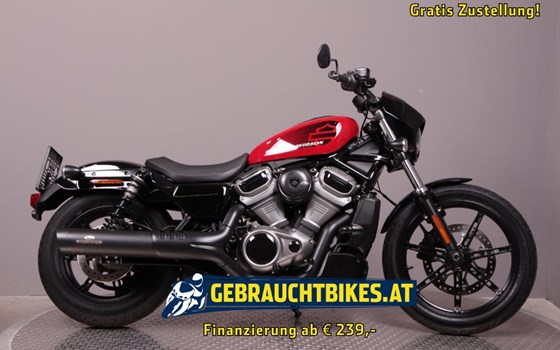 Gebrauchtmotorrad Harley-Davidson Nightster - Bild 1