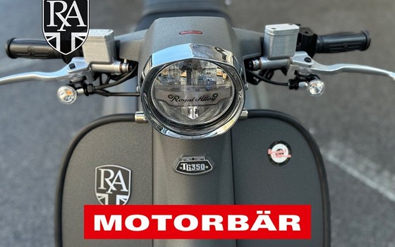 Neufahrzeug Royal Alloy TG 300 LC ABS - Bild 5