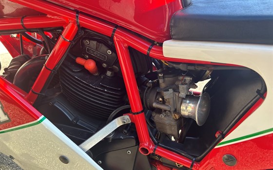 Gebrauchtmotorrad Ducati TT - Bild 6