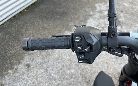 Gebrauchtmotorrad Indian FTR Sport - Bild 9